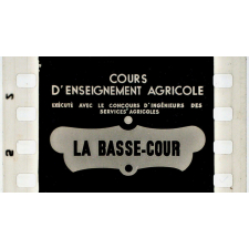 La Basse-cour.