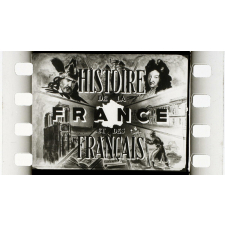 Histoire de la France et des Français. Film 1. La Gaule préhistorique.