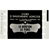Le Mouton. Le Porc.