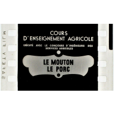 Le Mouton. Le Porc.