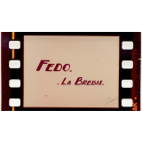 Fedo la brebis