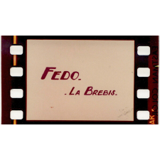 Fedo la brebis
