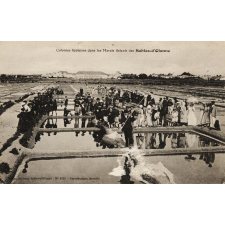 Colonies Scolaires dans les Marais Salants des Sables-d'Olonne.
