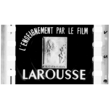 Les Fonctions de nutrition. La digestion. S.23.