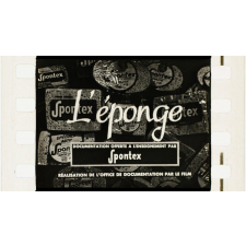 L'Eponge.