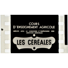 Les Céréales.