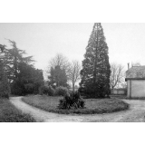 Ecole Primaire Supérieure de Jeunes Filles - Bressuire.