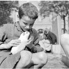 Institut départemental des Aveugles de la Seine (Ecole Braille).
L'enseignement destiné aux aveugles. Un élève joue avec un cochon d'Inde dans la cour.