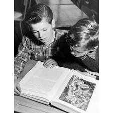 Coopératives scolaires : lecture d'un livre d'art 