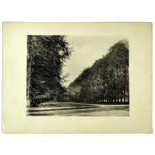 Collège de Normandie de Mont-Cauvaire, la grande allée.