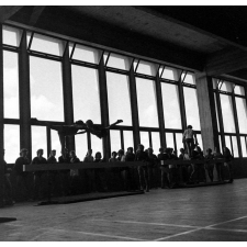 Lycée de Coutances : la salle de sports. Les jeunes filles effectuent les exercices de gymnastique.