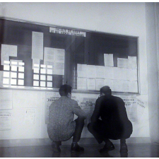 Université de Caen : tableau d'affichage de la faculté de droit