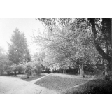 Ecole de Plein Air, Sainte-Marguerite. Cieux. 