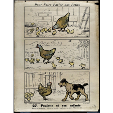 Tableaux muraux. Pour faire parler nos petits. 32 scènes familières en images sans paroles. IIème Série. 27- Poulette et ses enfants. 28- Les résultats de la dispute.
