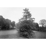 Petit Séminaire de L'Immaculée-Conception. Flers-de-L'Orne. Année Scolaire 1929-1930.