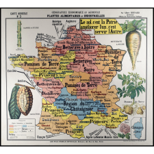 Carte de géographie économique et agricole de la France : les plantes alimentaires et industrielles