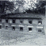 Institution publique d'éducation surveillée : l'élevage des lapins.
