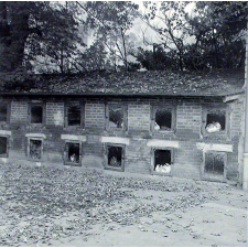 Institution publique d'éducation surveillée : l'élevage des lapins.