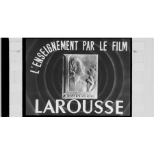 Les Carnivores. S.30.