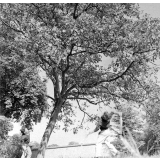 Œuvre de protection des enfants juifs : 2 garçons sous un arbre