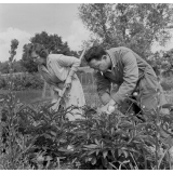 Crucey : Le couple d'instituteurs dans son jardin