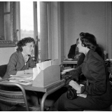 I.P.N. : des adultes