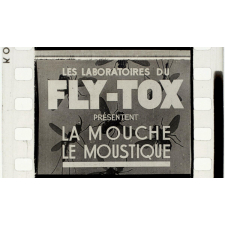 La Mouche. Le moustique.