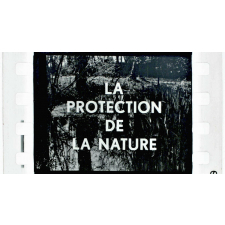 La Protection de la nature.