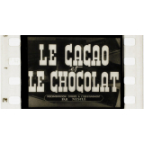 Le Cacao et le Chocolat.