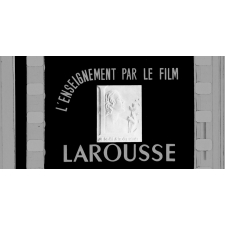 Les Oiseaux. Les oiseaux de l'air, de l'eau, des grands espaces. S.36.