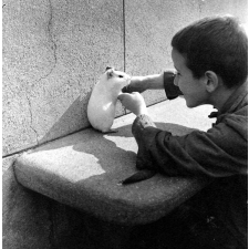 Institut départemental des Aveugles de la Seine (Ecole Braille).
L'enseignement destiné aux aveugles. Un élève s'amuse avec un cochon d'Inde.