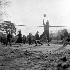 Lycée-pilote mixte de Montgeron. Deux équipes de filles disputent un match de volley.