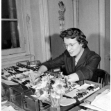 Bibliothèque de l'I.P.N. : les fichiers. 