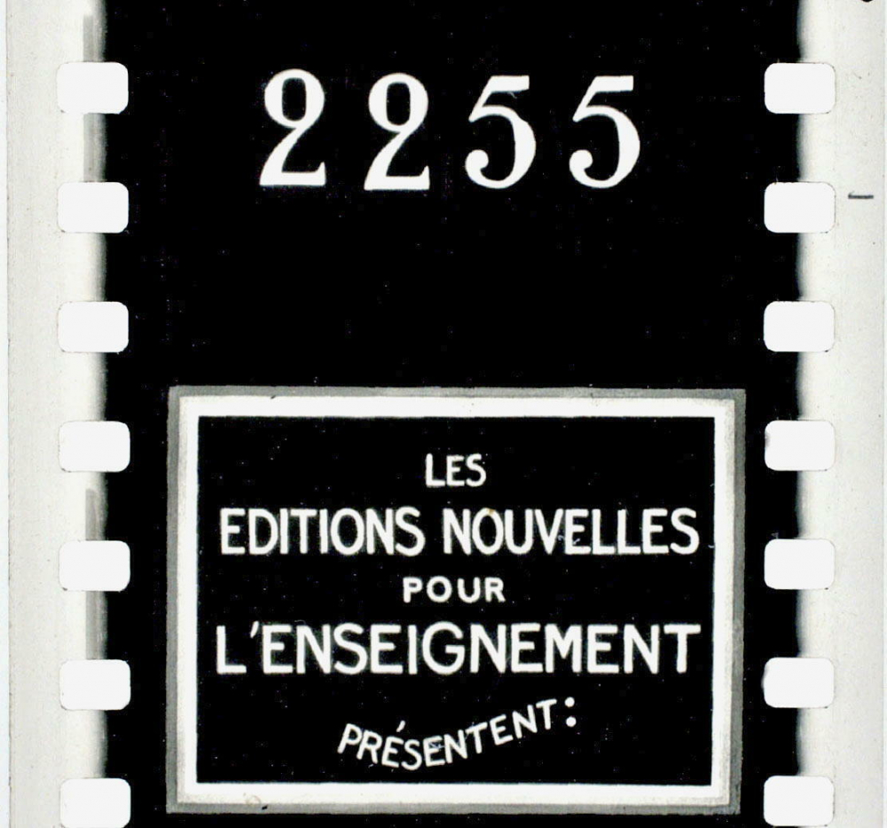 La France par Régions. 2255. Commerce.