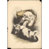 Chatons dans une corbeille. 