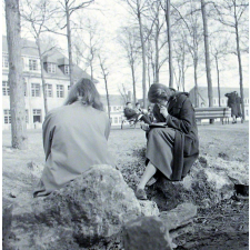 Lycée-pilote mixte de Montgeron. Des élèves lisent dans le parc du lycée.