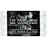 Les Cours d'eau.