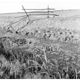 Jeunesse au plein air : colonie de Saumane, vue extérieure