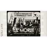 La Morue.