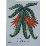 Fleurs