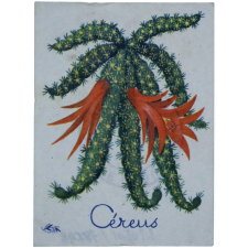 Fleurs