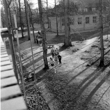Lycée-pilote mixte de Montgeron. L'entraînement à la course d'endurance dans le parc du lycée.