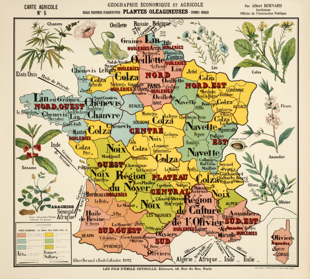 Tableau mural. Carte de géographie économique et agricole de la France : les plantes oléagineuses 