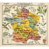 Tableau mural. Carte de géographie économique et agricole de la France : les plantes oléagineuses 