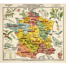 Tableau mural. Carte de géographie économique et agricole de la France : les plantes oléagineuses