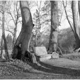 Parc Jean-Jacques Rousseau à Ermenonville