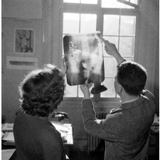 Enseignement audiovisuel : lecture d'une radiographie du thorax.