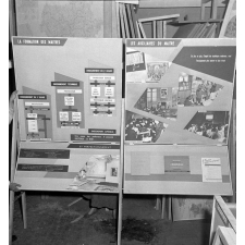 I.P.N. : exposition, La vie scolaire