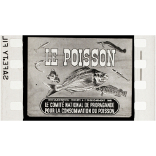 Le Poisson.