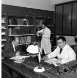 Ecole Nationale Supérieure d'Electrotechnique, d'Electronique et d'Hydraulique de Toulouse : des enseignants effectuent des recherches dans la bibliothèque.
